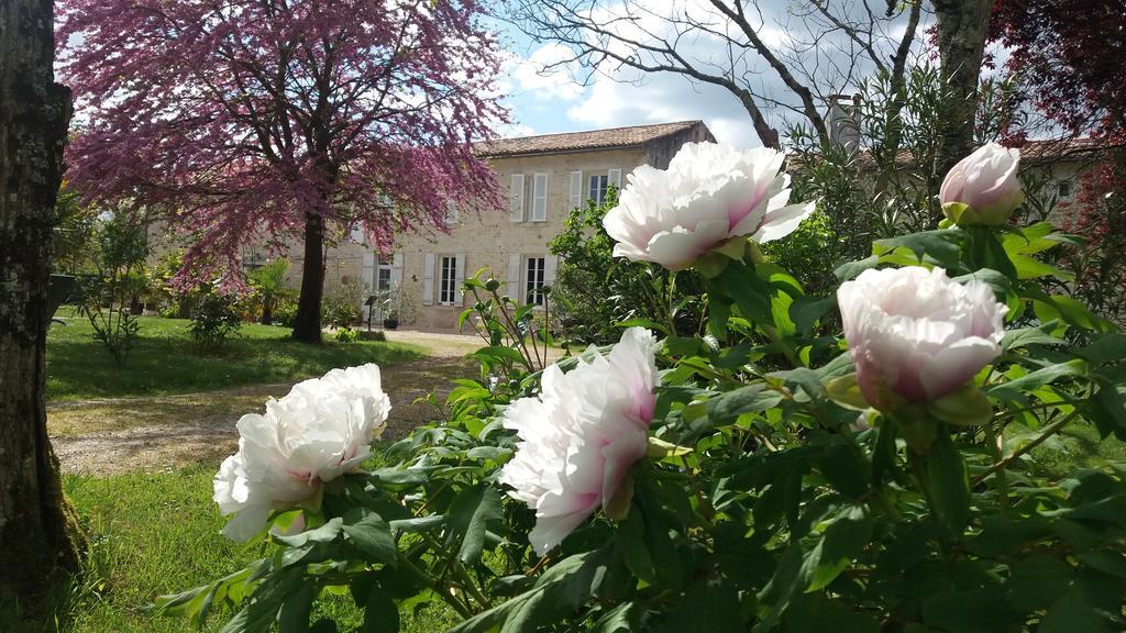 Bed and Breakfast Domaine Du Papillon Lesparre-Médoc Exteriér fotografie